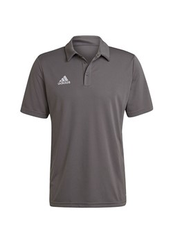 Koszulka męska polo Entrada 22 Polo Adidas ze sklepu SPORT-SHOP.pl w kategorii T-shirty męskie - zdjęcie 155782169