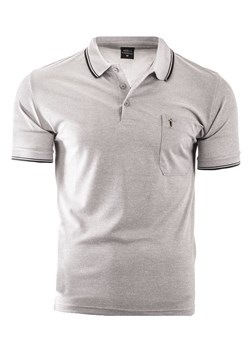 koszulka polo YP202 - szara ze sklepu Risardi w kategorii T-shirty męskie - zdjęcie 156175277