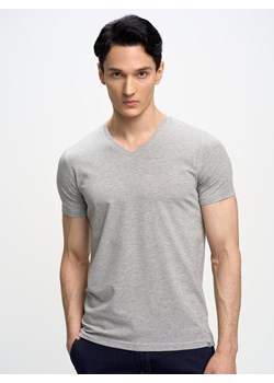 Koszulka męska v-neck z bawełny supima Supiclassicov 901 ze sklepu Big Star w kategorii T-shirty męskie - zdjęcie 156254915