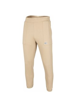 Spodnie dresowe męskie H4Z22 SPMD010 4F ze sklepu SPORT-SHOP.pl w kategorii Spodnie męskie - zdjęcie 156956089