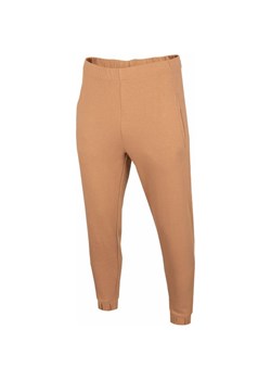 Spodnie dresowe męskie HOL22 SPMD604 Outhorn ze sklepu SPORT-SHOP.pl w kategorii Spodnie męskie - zdjęcie 156956548