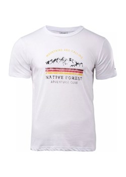 Koszulka męska Rone Hi-Tec ze sklepu SPORT-SHOP.pl w kategorii T-shirty męskie - zdjęcie 157521296