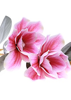 Przepiękna LILA w kolorze różowym /KW15 K15 H2 K001/ ze sklepu Pantofelek24.pl w kategorii Dekoracje - zdjęcie 160072228