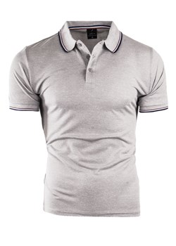 koszulka polo YP206 - szara ze sklepu Risardi w kategorii T-shirty męskie - zdjęcie 160910768