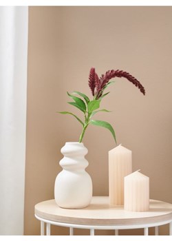 Sinsay - Roślina ozdobna - fioletowy ze sklepu Sinsay w kategorii Dekoracje - zdjęcie 161209327