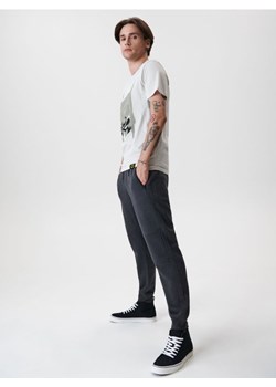 Sinsay - Spodnie dresowe jogger - szary ze sklepu Sinsay w kategorii Spodnie męskie - zdjęcie 161210327