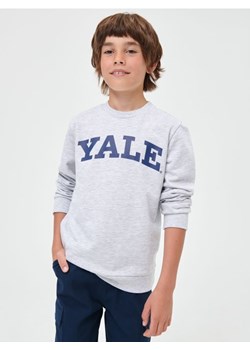 Sinsay - Bluza Yale - szary ze sklepu Sinsay w kategorii Bluzy chłopięce - zdjęcie 161211645