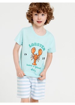 Sinsay - Koszulka z nadrukiem - niebieski ze sklepu Sinsay w kategorii T-shirty chłopięce - zdjęcie 161214148