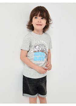 Sinsay - Koszulka z nadrukiem - szary ze sklepu Sinsay w kategorii T-shirty chłopięce - zdjęcie 161214149