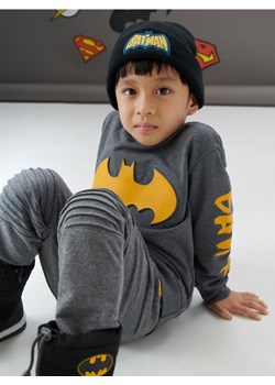 Sinsay - Bluza Batman - szary ze sklepu Sinsay w kategorii Bluzy chłopięce - zdjęcie 161215169