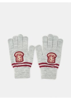 Sinsay - Rękawiczki Harry Potter - szary ze sklepu Sinsay w kategorii Rękawiczki damskie - zdjęcie 161310389