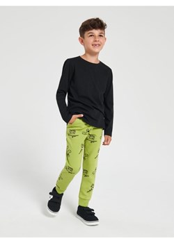 Sinsay - Spodnie dresowe jogger - zielony ze sklepu Sinsay w kategorii Spodnie chłopięce - zdjęcie 161348848