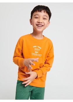 Sinsay - Bluza - pomarańczowy ze sklepu Sinsay w kategorii Bluzy chłopięce - zdjęcie 162042907