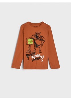 Sinsay - Koszulka Shrek - brązowy ze sklepu Sinsay w kategorii T-shirty chłopięce - zdjęcie 162065659