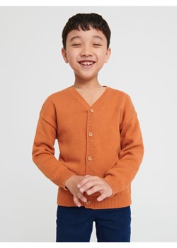 Sinsay - Sweter - brązowy ze sklepu Sinsay w kategorii Swetry chłopięce - zdjęcie 162303518