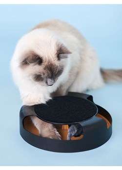 Sinsay - Zabawka dla kota - czarny ze sklepu Sinsay w kategorii Dla zwierząt - zdjęcie 162354498