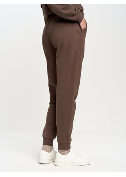 Spodnie damskie dresowe brązowe Foxaner 804/ Meganer 804/ Jeaner 804 ze sklepu Big Star w kategorii Spodnie damskie - zdjęcie 162391186