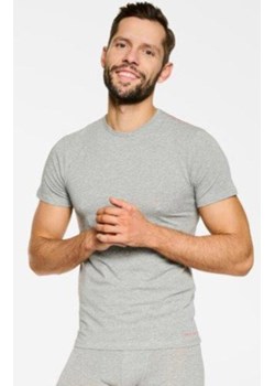 Bawełniana koszulka męska z krótkim rękawem szara Bosco 19777, Kolor szary, Rozmiar M, Rene vilard ze sklepu Intymna w kategorii T-shirty męskie - zdjęcie 162489568