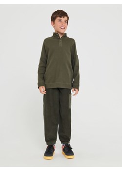 Sinsay - Spodnie - zielony ze sklepu Sinsay w kategorii Spodnie chłopięce - zdjęcie 162689958