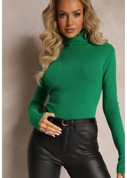 Zielony Dopasowany Golf z Długim Rękawem Aerwinna ze sklepu Renee odzież w kategorii Swetry damskie - zdjęcie 162740418