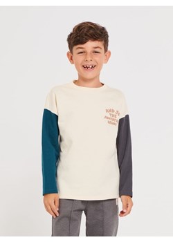 Sinsay - Bluza z nadrukiem - kremowy ze sklepu Sinsay w kategorii Bluzy chłopięce - zdjęcie 162922068