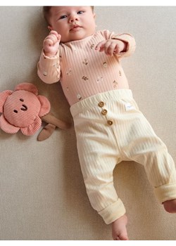 Sinsay - Legginsy - kremowy ze sklepu Sinsay w kategorii Legginsy niemowlęce - zdjęcie 163543078