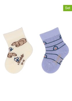 Sterntaler Skarpety niemowlęce (2 pary) w kolorze kremowym i niebieskim ze sklepu Limango Polska w kategorii Skarpetki dziecięce - zdjęcie 163682129
