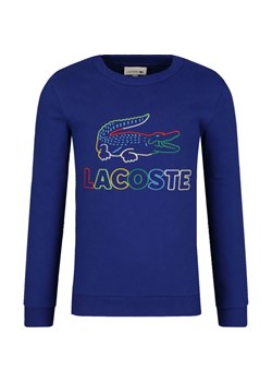 Lacoste Bluza | Regular Fit ze sklepu Gomez Fashion Store w kategorii Bluzy dziewczęce - zdjęcie 163946566