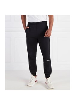 Replay Spodnie dresowe | Regular Fit ze sklepu Gomez Fashion Store w kategorii Spodnie męskie - zdjęcie 164324336