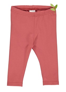 Fred´s World by GREEN COTTON Legginsy w kolorze czerwonym ze sklepu Limango Polska w kategorii Legginsy niemowlęce - zdjęcie 164351608