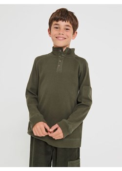 Sinsay - Koszulka - zielony ze sklepu Sinsay w kategorii T-shirty chłopięce - zdjęcie 164549437
