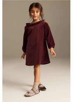 H & M - Aksamitna sukienka z bawełny - Czerwony ze sklepu H&M w kategorii Sukienki dziewczęce - zdjęcie 164905036