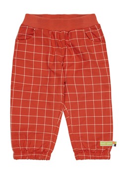 loud + proud Spodnie dresowe w kolorze pomarańczowym ze sklepu Limango Polska w kategorii Spodnie i półśpiochy - zdjęcie 165154399