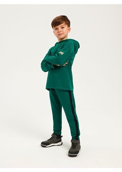 Sinsay - Spodnie dresowe jogger - zielony ze sklepu Sinsay w kategorii Spodnie chłopięce - zdjęcie 165197336