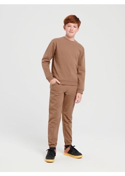 Sinsay - Komplet: bluza i spodnie - brązowy ze sklepu Sinsay w kategorii Dresy chłopięce - zdjęcie 165427145