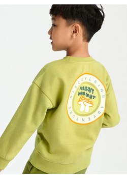 Sinsay - Bluza - zielony ze sklepu Sinsay w kategorii Bluzy chłopięce - zdjęcie 165602405