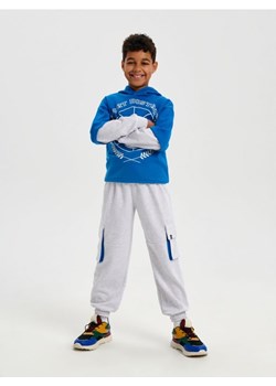 Sinsay - Spodnie dresowe jogger - szary ze sklepu Sinsay w kategorii Spodnie chłopięce - zdjęcie 165704148