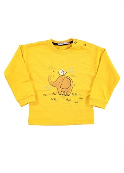 Bluza dziecięca MONTRI ze sklepu Ivet Shop w kategorii Bluzy chłopięce - zdjęcie 165789609