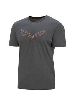 Koszulka męska Pure Eagle Frame Dry Salewa ze sklepu SPORT-SHOP.pl w kategorii T-shirty męskie - zdjęcie 166203308