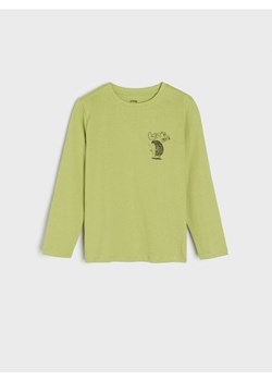 Sinsay - Koszulka - zielony ze sklepu Sinsay w kategorii T-shirty chłopięce - zdjęcie 166316278