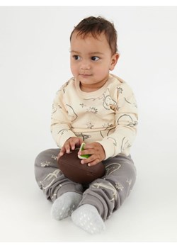 Sinsay - Komplet: bluza i spodnie - kremowy ze sklepu Sinsay w kategorii Dresy dla niemowlaka - zdjęcie 166498568