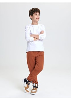 Sinsay - Spodnie dresowe jogger - czerwony ze sklepu Sinsay w kategorii Spodnie chłopięce - zdjęcie 166589778