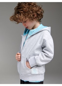 Sinsay - Bluza rozpinana - szary ze sklepu Sinsay w kategorii Bluzy chłopięce - zdjęcie 167856715