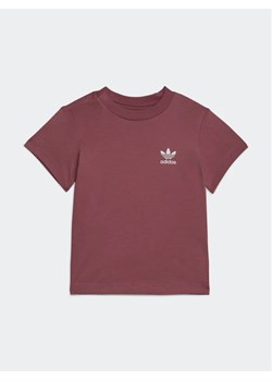 adidas T-Shirt Adicolor T-Shirt IC9106 Różowy Regular Fit ze sklepu MODIVO w kategorii Koszulki niemowlęce - zdjęcie 168449086