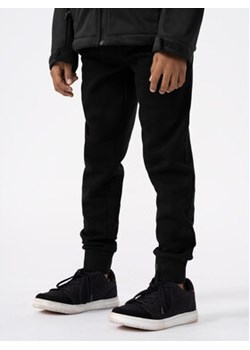 4F Spodnie dresowe 4FJAW23TTROM411 Czarny Regular Fit ze sklepu MODIVO w kategorii Spodnie chłopięce - zdjęcie 168590856