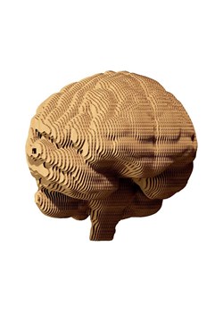 Cartonic puzzle 3d Brain ze sklepu ANSWEAR.com w kategorii Puzzle - zdjęcie 168705715