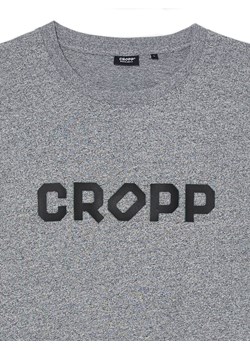 Cropp - Koszulka z nadrukiem - jasny szary ze sklepu Cropp w kategorii T-shirty męskie - zdjęcie 168758819