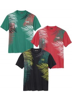 Zestaw 3 koszulek Sport Palm Coast ze sklepu Atlas For Men w kategorii T-shirty męskie - zdjęcie 168978085