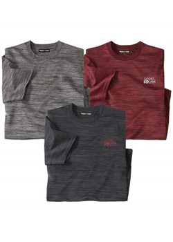 Zestaw 3 koszulek Sport ze sklepu Atlas For Men w kategorii T-shirty męskie - zdjęcie 168978228