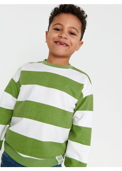 Sinsay - Bluza - zielony ze sklepu Sinsay w kategorii Bluzy chłopięce - zdjęcie 169146298